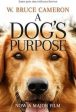 A DOG`S PURPOSE Cheap